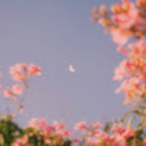 Meet your Posher, Francena